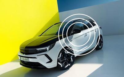 Allarme Antintrusione - Su Radiocomando Originale  opel